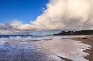 Carmel River beach-1801.jpg